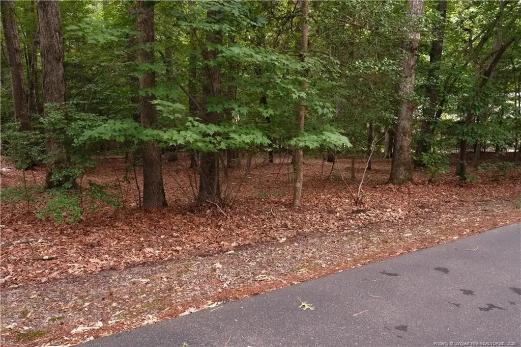 1146 Deerfoot Trail Sanford NC 27332