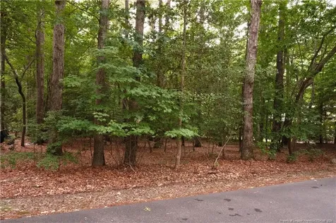 1146 Deerfoot Trail Sanford NC 27332