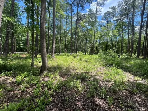 0 Bryant Circle Maxton NC 28364