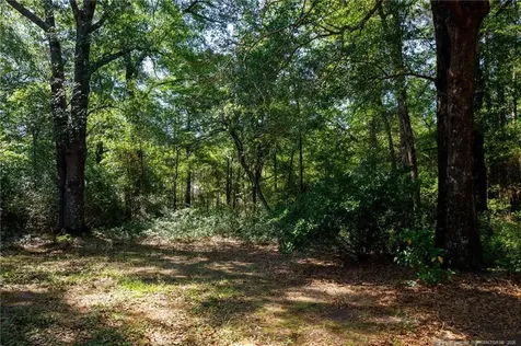 690 Live Oak Methodist Church Road White Oak NC 28399