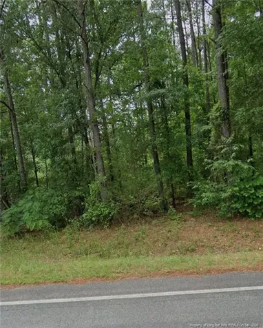 South Plank Road Sanford NC 27330