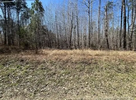 Pointe Mayo Drive Roxboro NC 27574