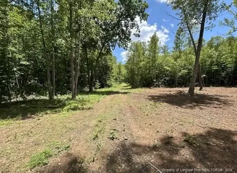 Pointe Mayo Drive Roxboro NC 27574