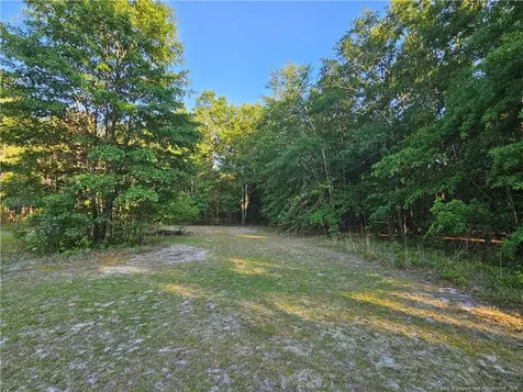 18420 Quicktown Road Hamlet NC 28345
