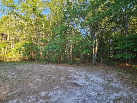 18420 Quicktown Road Hamlet NC 28345