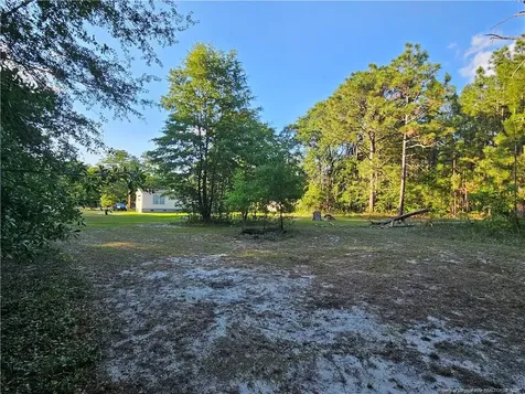 18420 Quicktown Road Hamlet NC 28345
