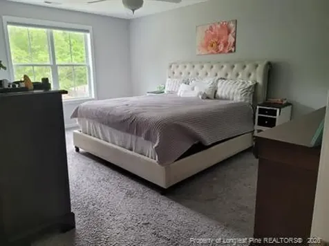 234 Shepard Drive Linden NC 28356