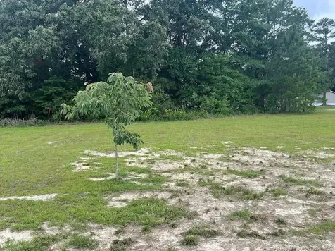 542 Red Oak Farm Road NC 28392