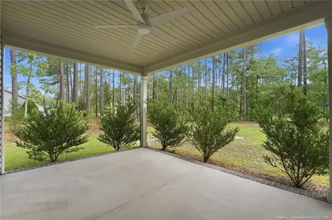 15981 Old Orchard Court Wagram NC 28396