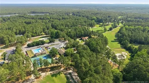 15981 Old Orchard Court Wagram NC 28396