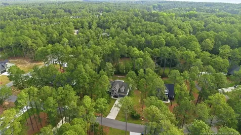 15981 Old Orchard Court Wagram NC 28396