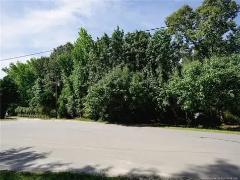 8201 Oakcliff Lane Angier NC 27501