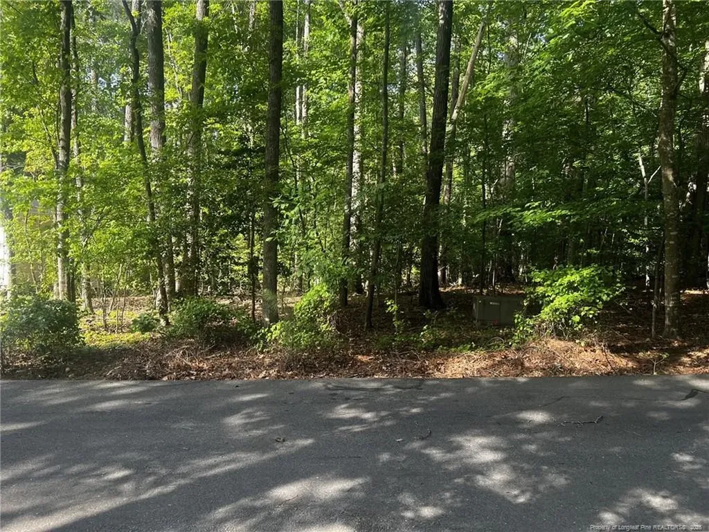 992 Whistling Wind Sanford NC 27332