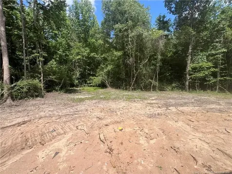 517 Grand Griffon Way Lillington NC 27546