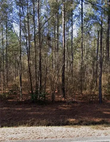 Mcbryde Street Linden NC 28356