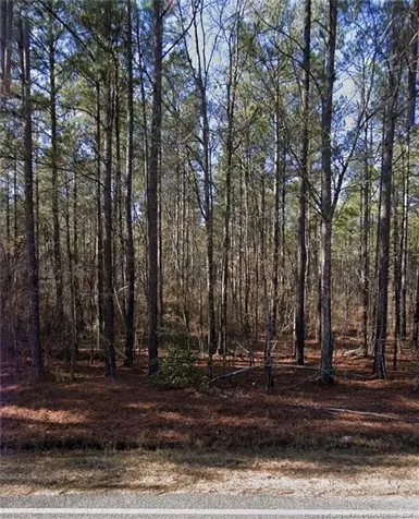 Mcbryde Street Linden NC 28356