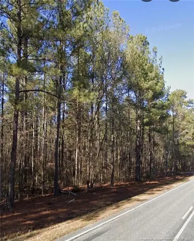 Mcbryde Street Linden NC 28356