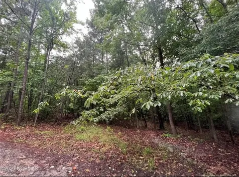 Tbd Buggy Drive W Carthage NC 28327