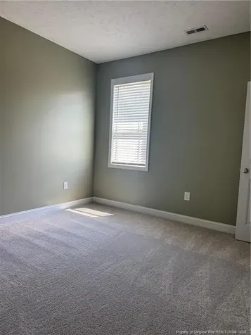 2935 Hayfield Road Wade NC 28395