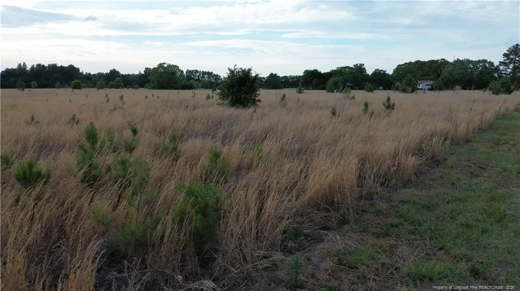 Lot 5 Fairley Road Maxton NC 28364