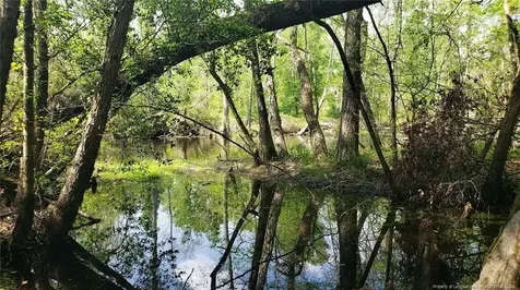 52 Acres River Access Lumberton NC 28360