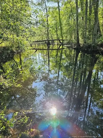 52 Acres River Access Lumberton NC 28360