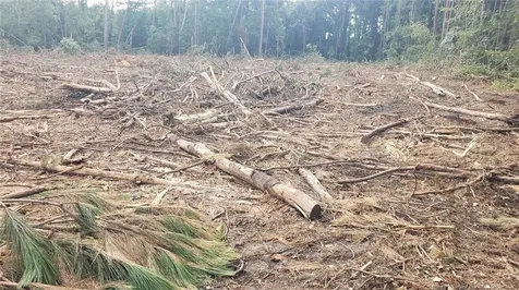 52 Acres River Access Lumberton NC 28360