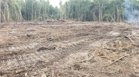 52 Acres River Access Lumberton NC 28360