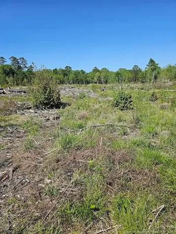 52 Acres River Access Lumberton NC 28360