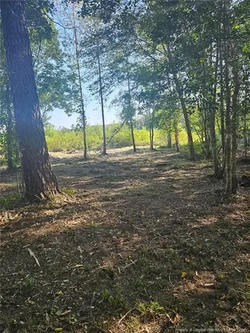 52 Acres River Access Lumberton NC 28360