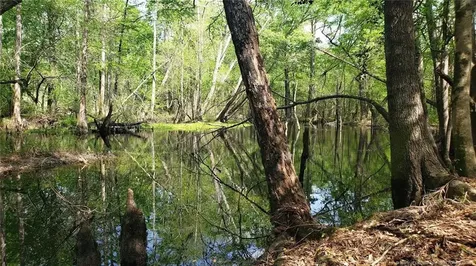 52 Acres River Access Lumberton NC 28360