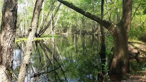 52 Acres River Access Lumberton NC 28360