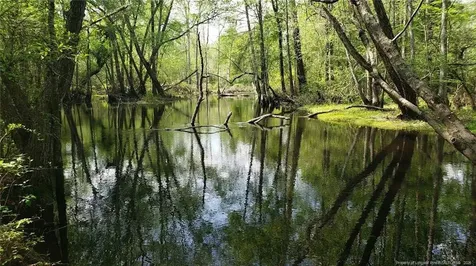 52 Acres River Access Lumberton NC 28360