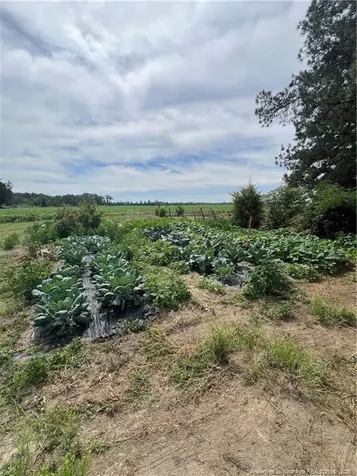 5480 Nc Highway 71 Maxton NC 28364