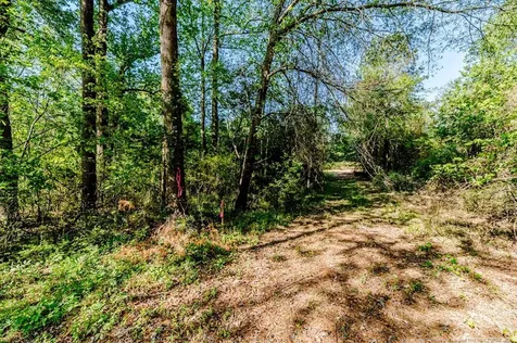 Tbd Nc 27 W Lillington NC 27546