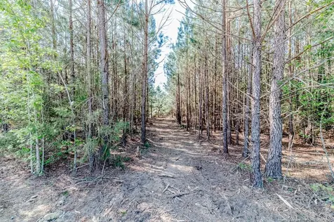 Tbd Nc 27 W Lillington NC 27546