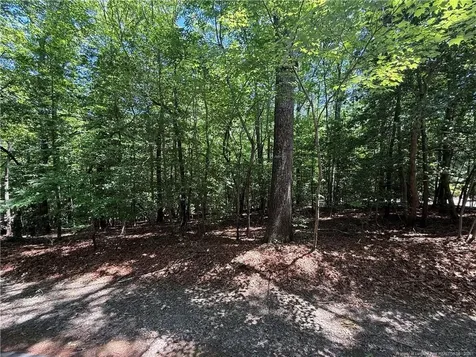 2056 Long Point Trail Sanford NC 27332