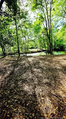 3524 Pine Log Road Lumberton NC 28360