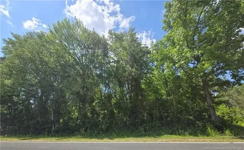 0 Walker Road Linden NC 28356
