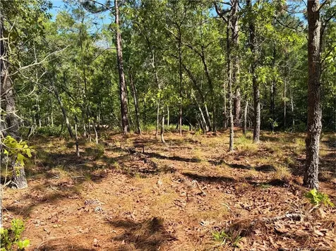 Flowers Road Raeford NC 28376