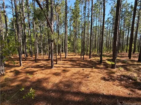 Flowers Road Raeford NC 28376