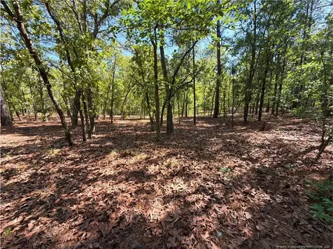Flowers Road Raeford NC 28376