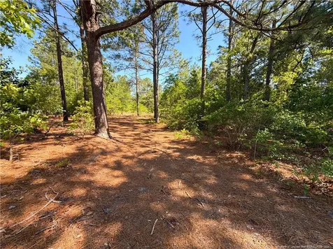 Flowers Road Raeford NC 28376