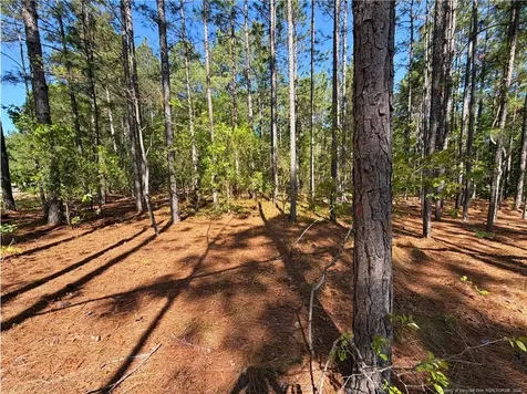 Flowers Road Raeford NC 28376