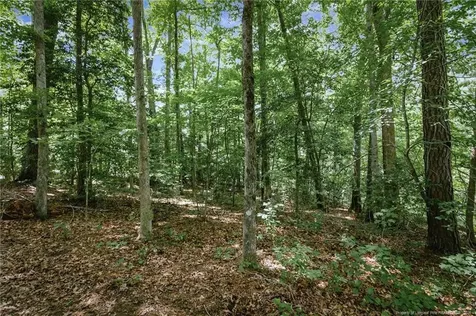 692 Chelsea Drive Sanford NC 27332