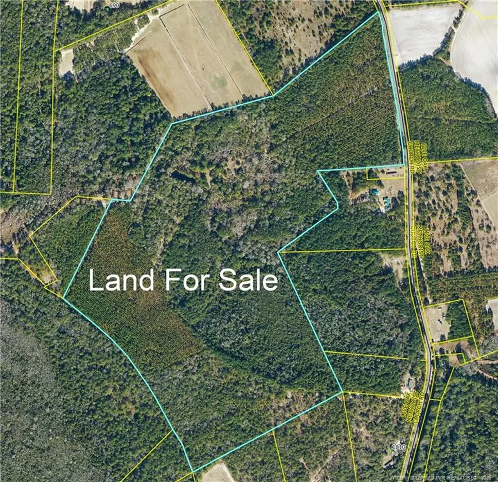 Live Oak Methodist Church Road White Oak NC 28399