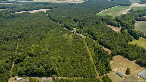 422 Drye Road Council NC 28434