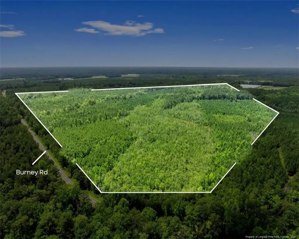 Burney Road White Oak NC 28399