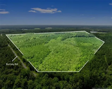 Burney Road White Oak NC 28399
