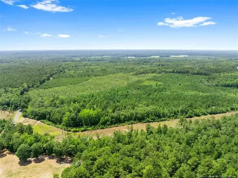 Burney Road White Oak NC 28399